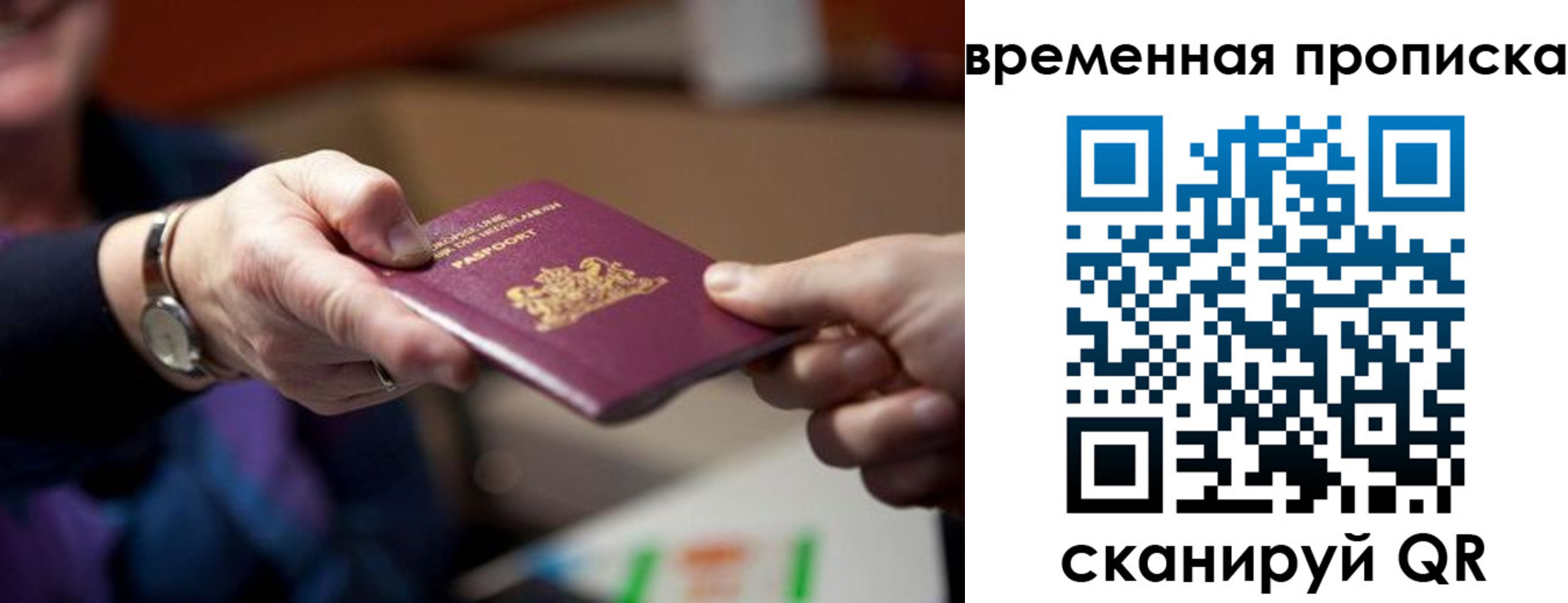 временная регистрация для всех в Покрове